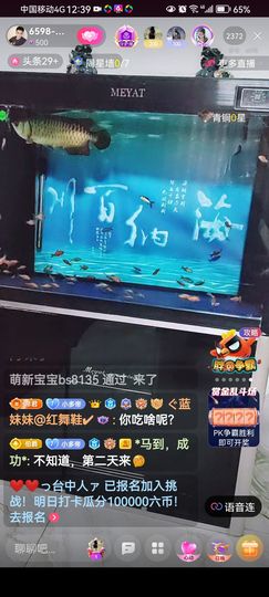 ✿ぐ蓝妹妹@红舞鞋✔主播照片