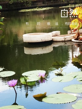 妖妖九💞胖砸~的图片
