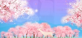 深情🌈💖想升级吖主播照片