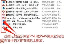 广西壮族姑姑的图片
