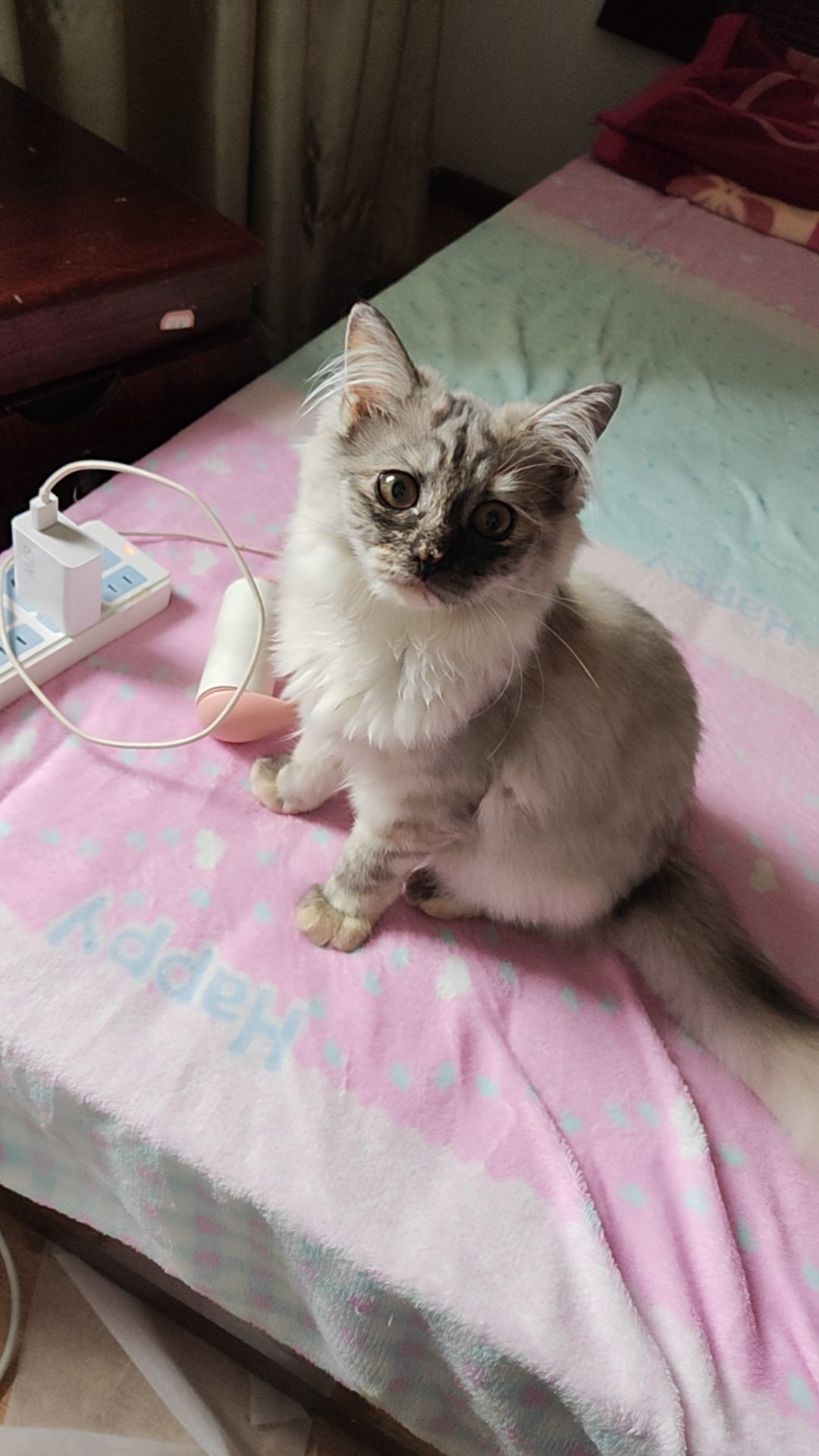 婷婷💕感恩有你陪伴的图片