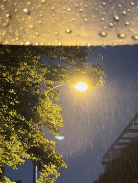 💫亚轩等风来的图片