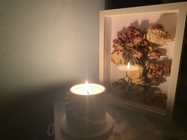 一只肥肥主播照片