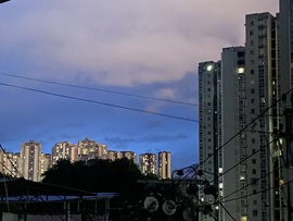 一只肥肥主播照片