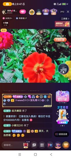 婷婷💕求升级的图片