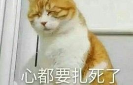 十年之期已到是否续约主播照片