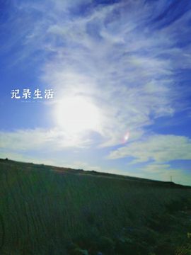 月有重圆日佳人难再寻主播照片