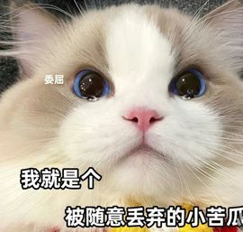 风筝休🦋主播照片