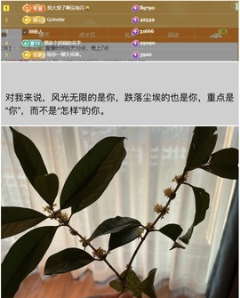 谁的糖。主播照片