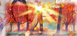 可馨✿一二布布主播照片