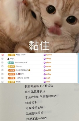 谁的糖。主播照片