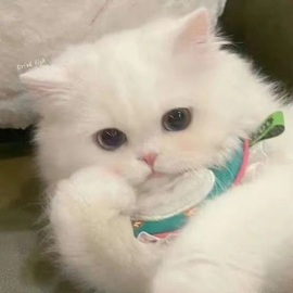 🦄嘿嘿主播照片