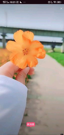 婷婷💕求升级的图片