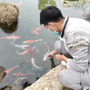 龙龙哥哥鸭-宝儿ღ
