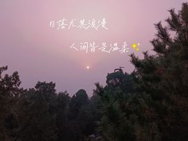 雪菜♫好运好运旺的图片