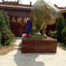 帅涛2
