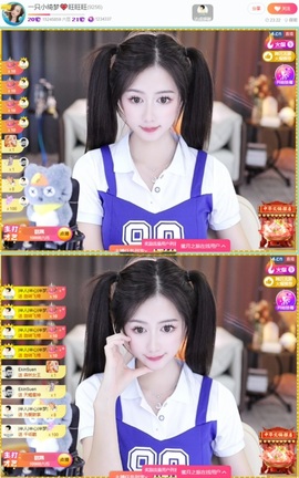 一只小绮梦🍟旺旺旺的图片