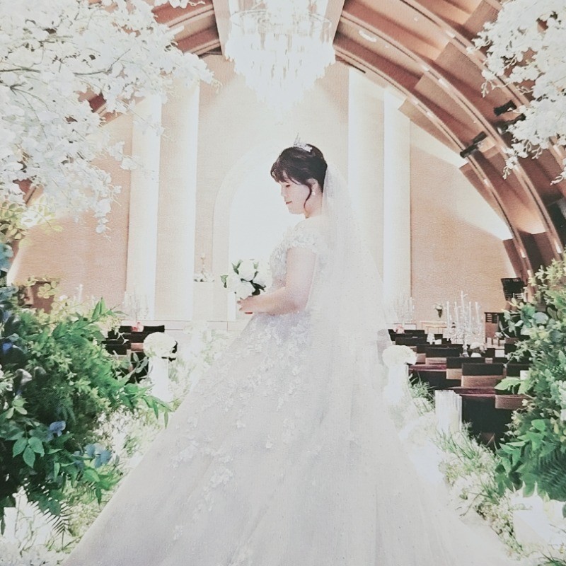 艾莉珊德拉花的主播海报