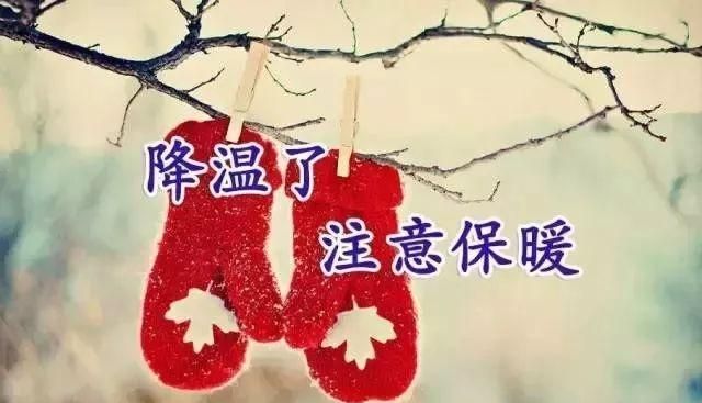 小芳，🌸减肥打卡的图片
