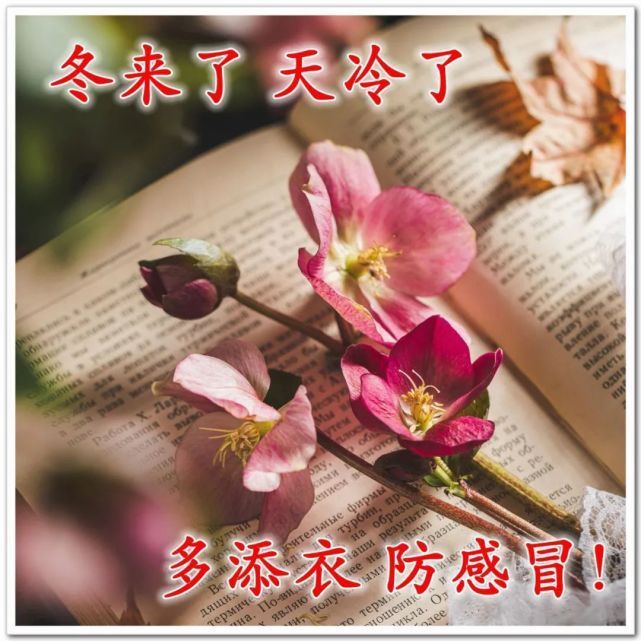 小芳，🌸减肥打卡的图片