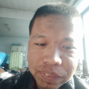 我的猫飞影