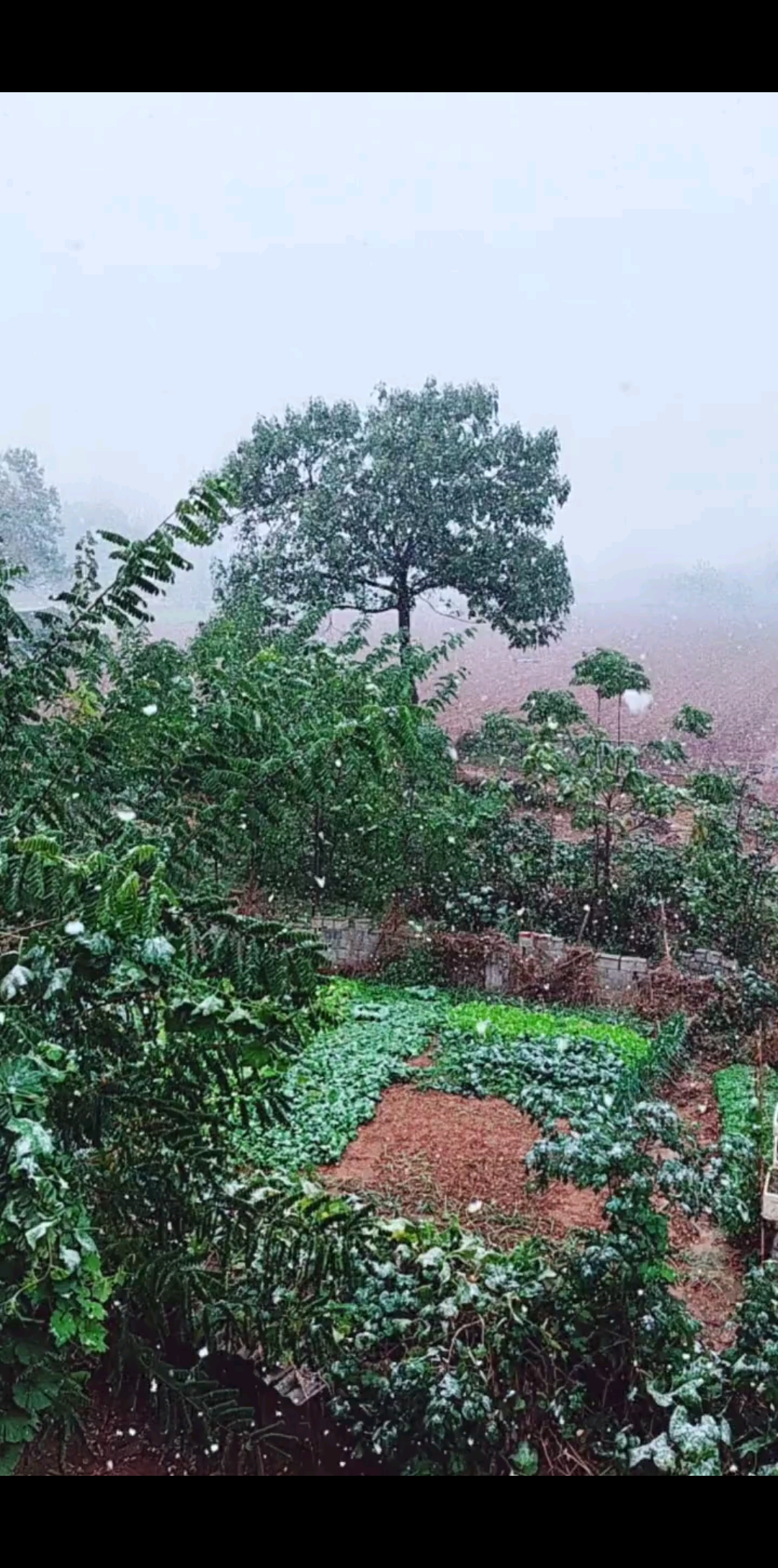 录下入冬后的第一场雪