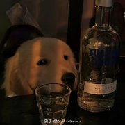 不明物体2.0头像