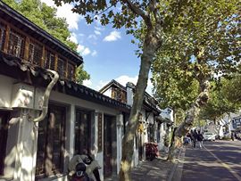ᥫᩣ应应～的图片