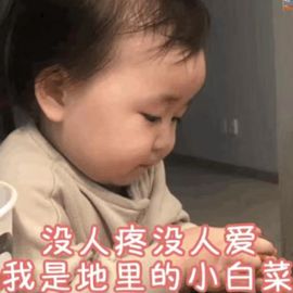 风筝休🦋主播照片