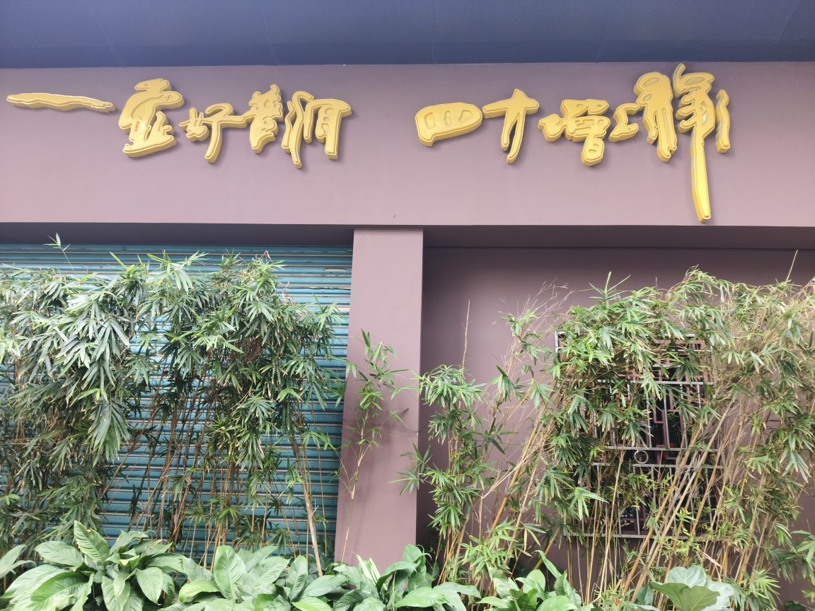 飞鸟与鱼路不同的图片