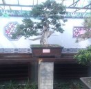 一缕阳光9u7