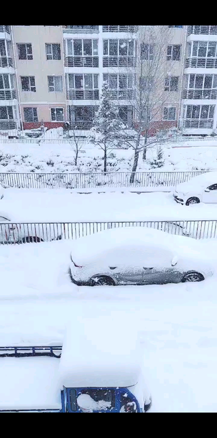 内蒙的大雪🌨️🌨️🌨