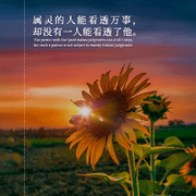 微信_5069941