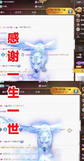 金麒麟好运连连🎤主播照片