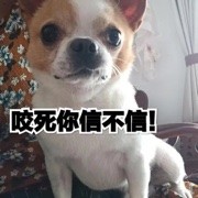 爱吃葡萄、