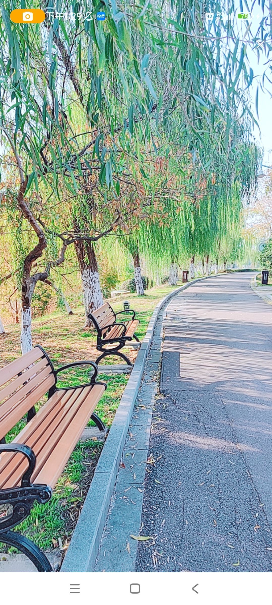 婷婷💕感恩有你陪伴的图片