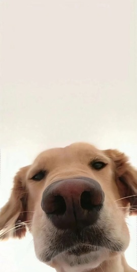 抱抱馨💌主播照片