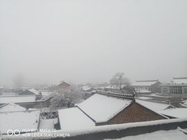 陌上╰.╯花开ღ主播照片