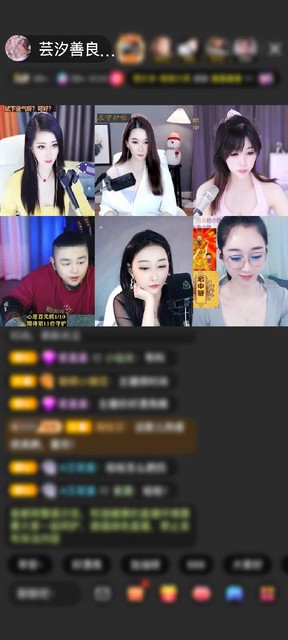 感谢神秘人赠送天鹅城堡1个