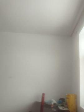 Nasyou5568的图片