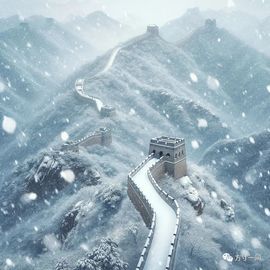 （杨）今天来碗面条主播照片
