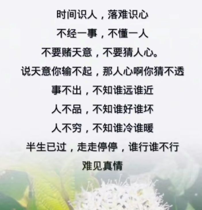 丑小鸭💞愿有一束光的图片