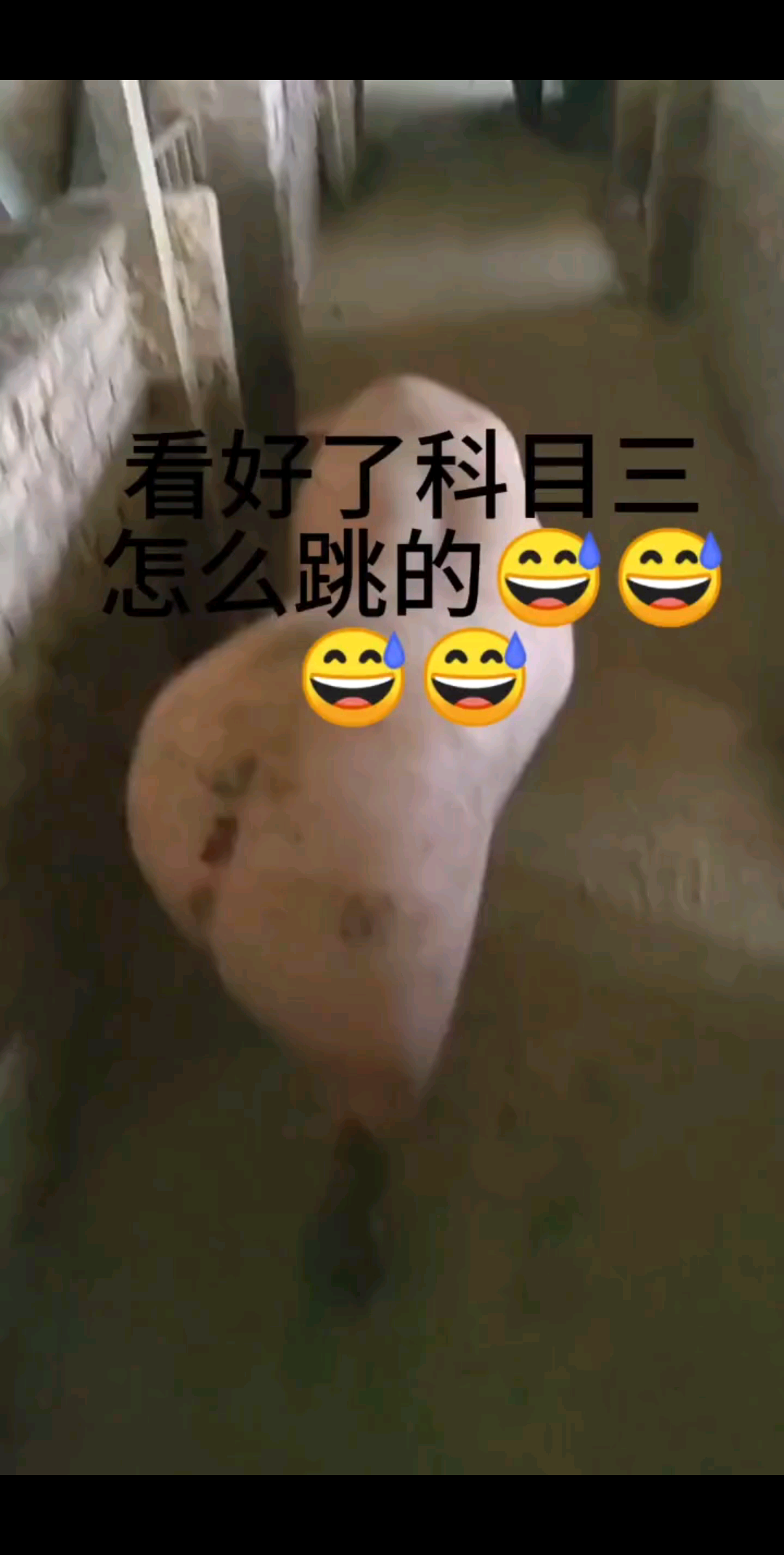 都学着点儿，科目三怎