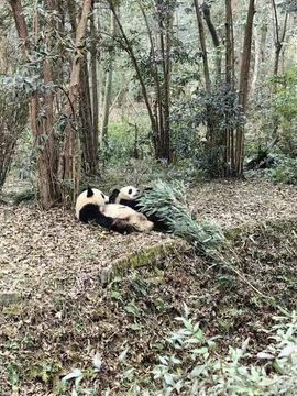 ╰❐╬➷🎭我若成佛的图片