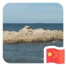 李哥te