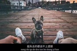 喜洋洋~56577的图片