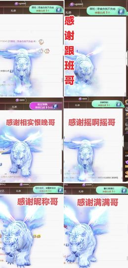 金麒麟安静唱歌🎤主播照片