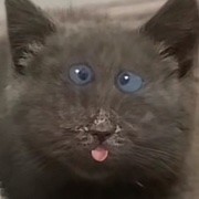 那就看看吧