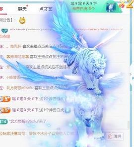 五十次风速主播照片