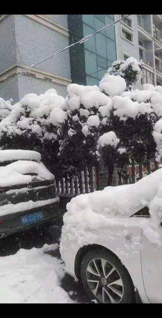 大哥们，下雪了！你们